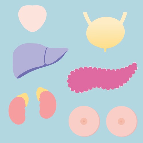 Betrouwbare informatie